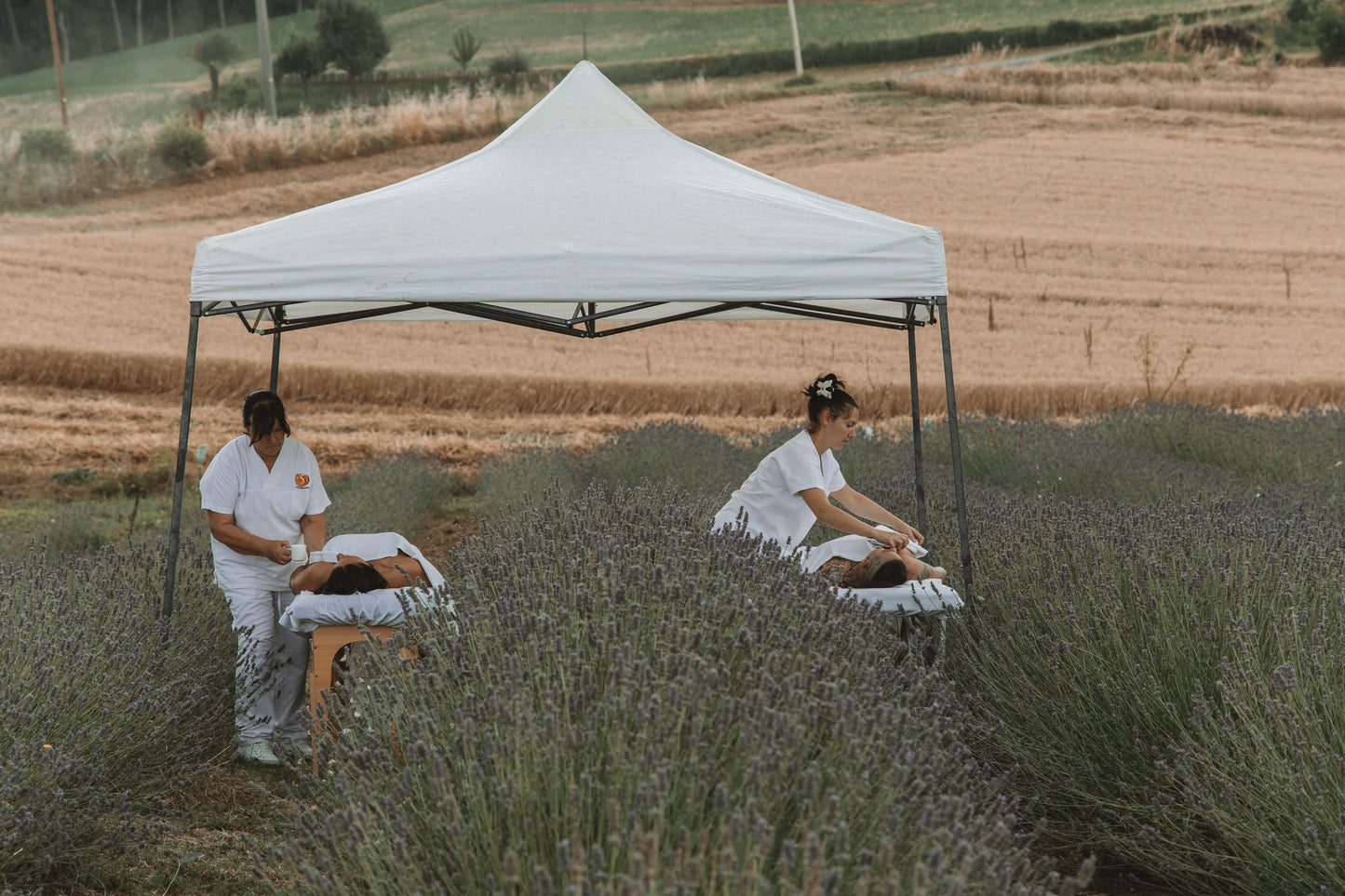Il Dolce Massaggio