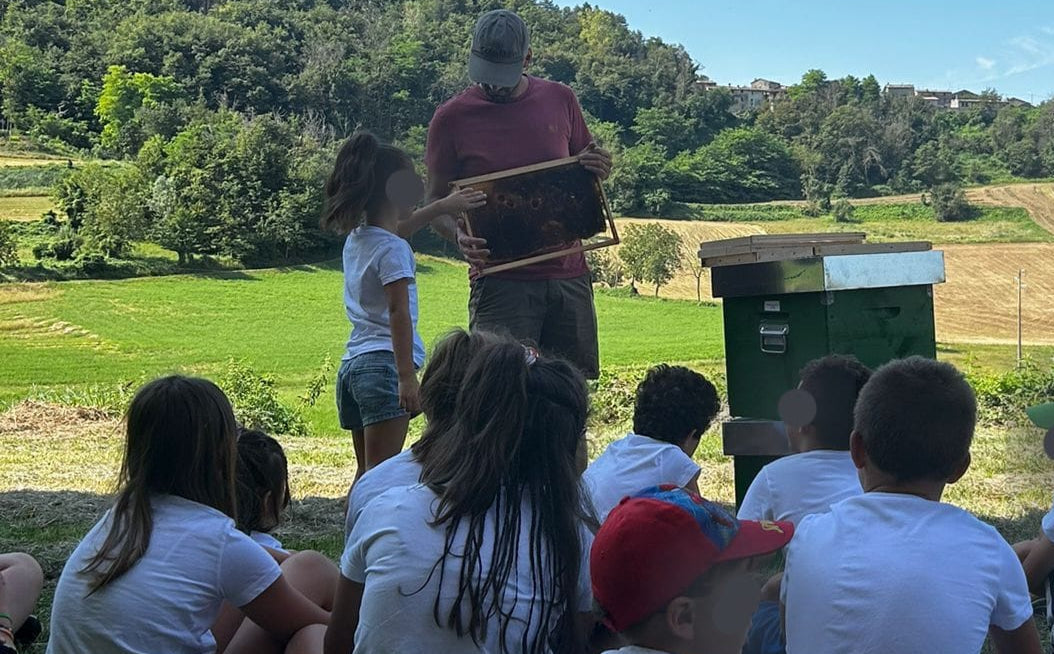 Amici delle Api – Esperienze Didattiche