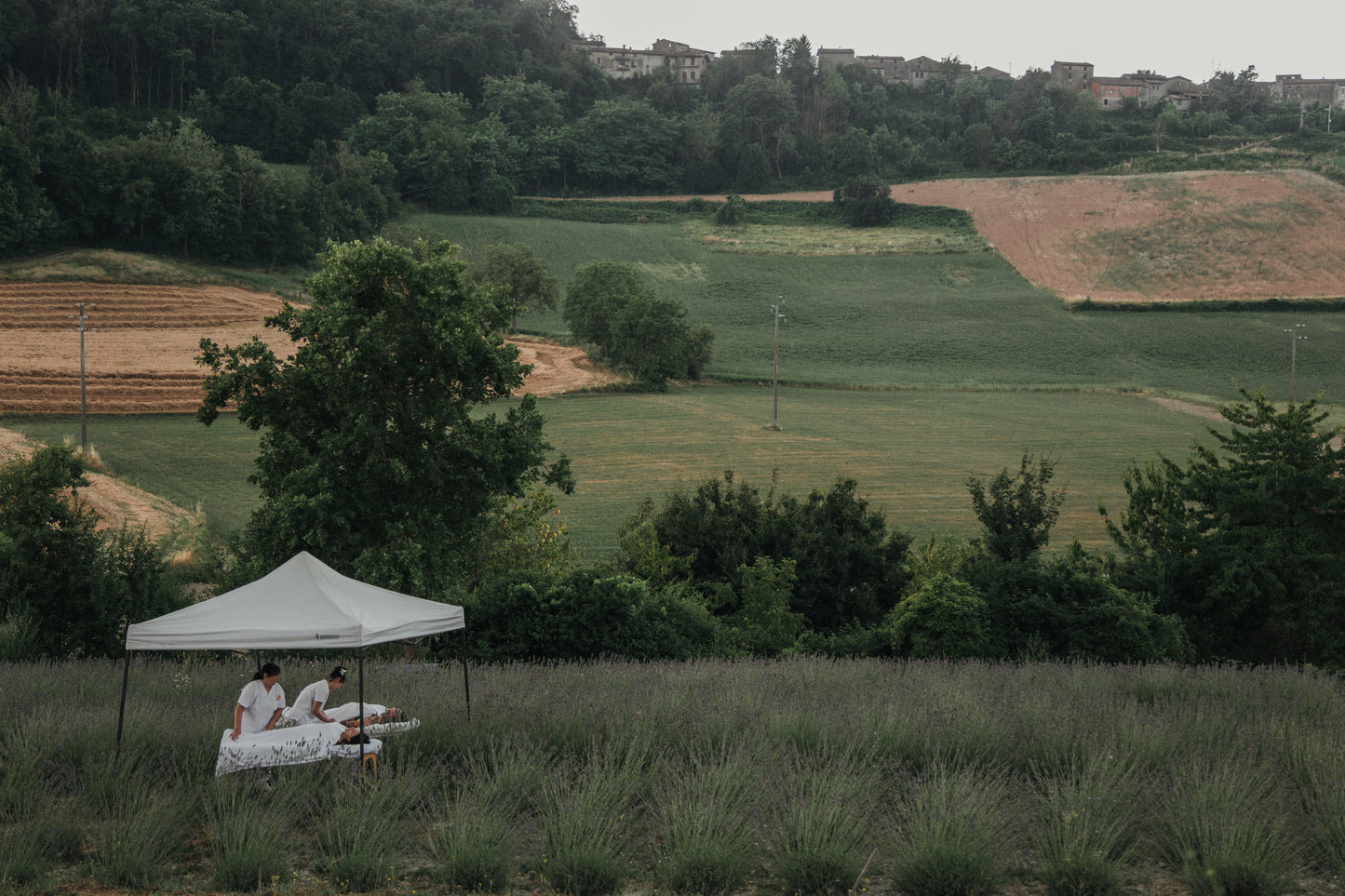 Il Dolce Massaggio