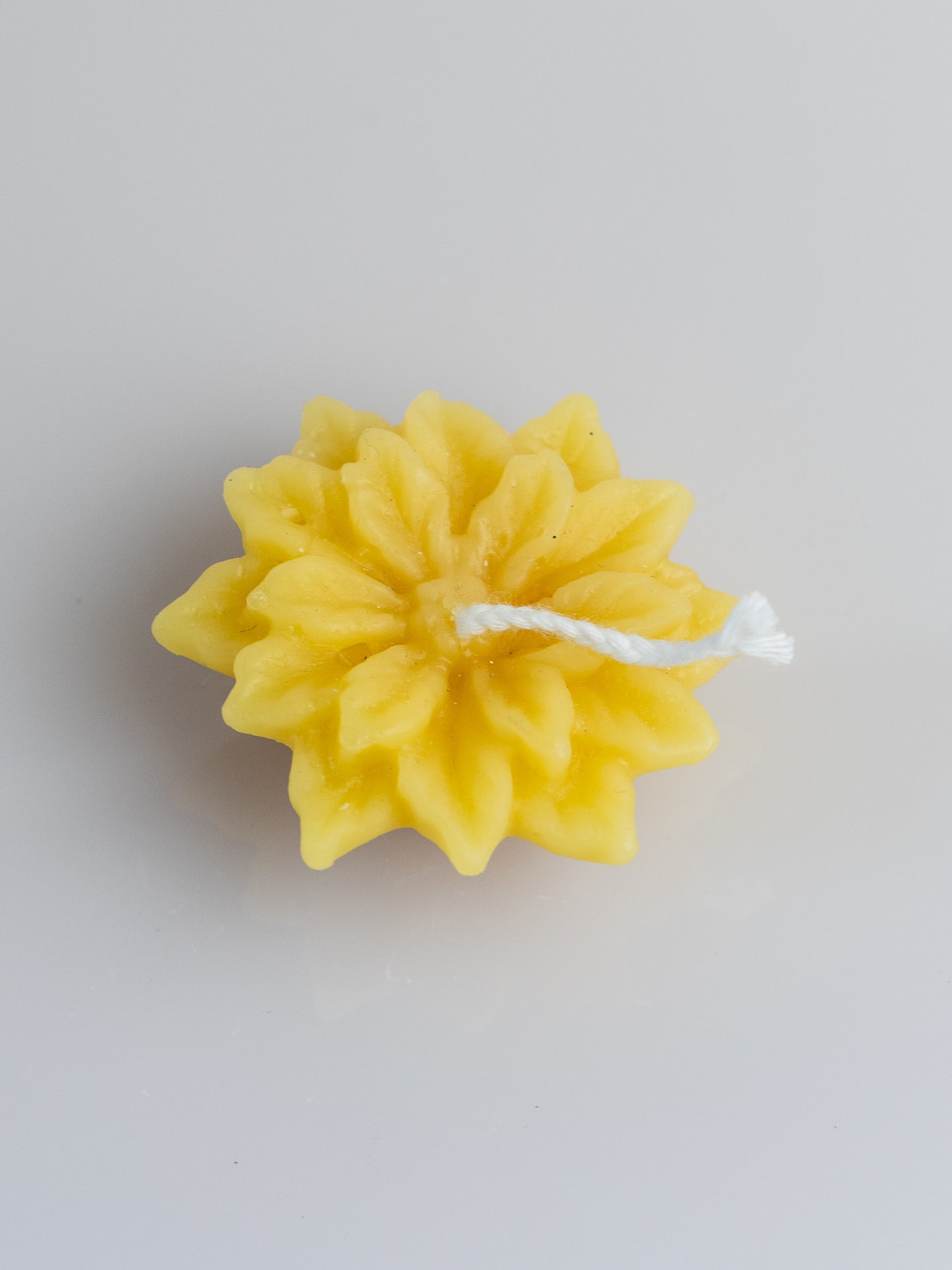 Candele in Cera d'Ape