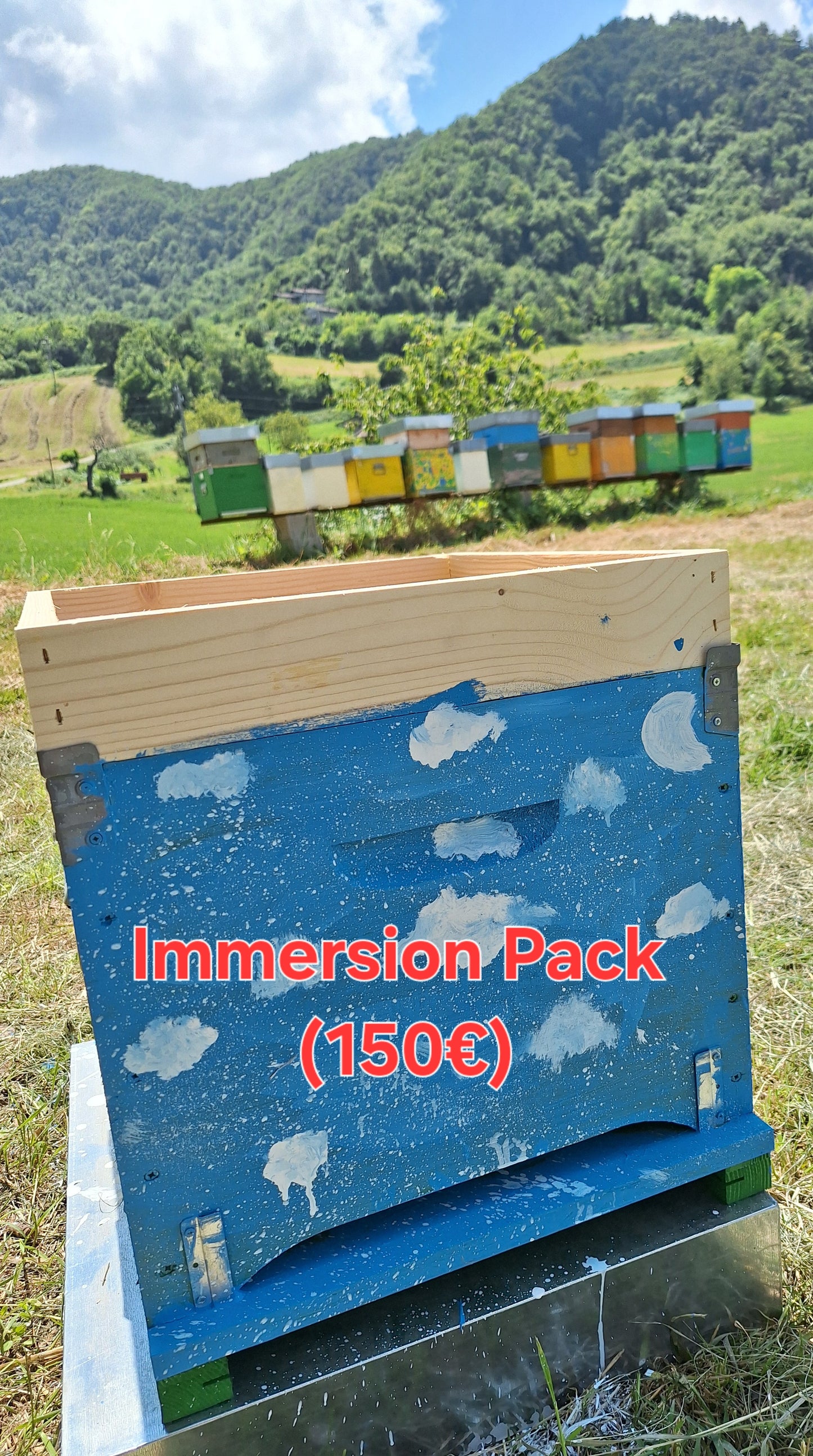 🐝 Adotta un Alveare – Immersion Pack (€150)