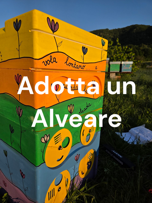 Adotta un Alveare